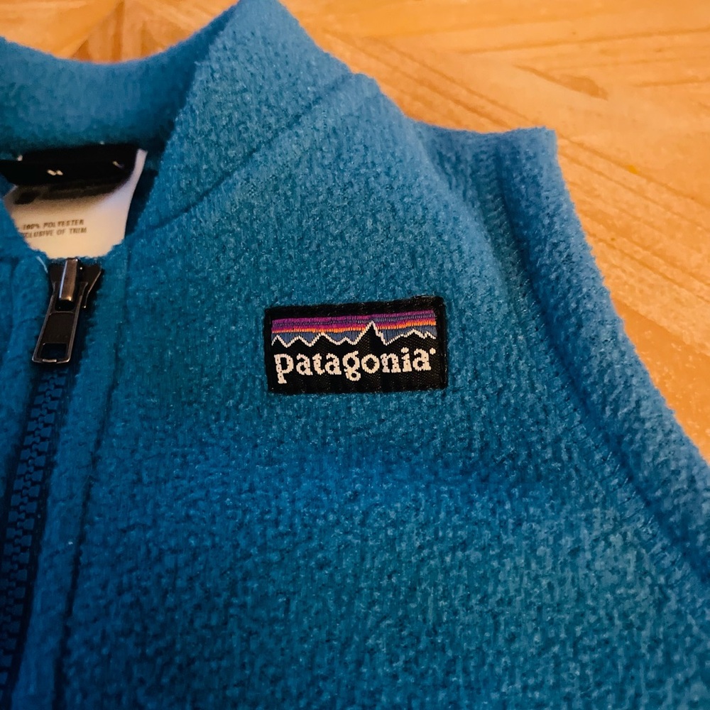 Patagonia Fleece Vest